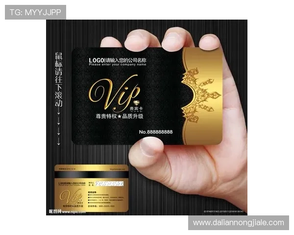 广东ag的贵宾会与普通会员的区别分析，尊贵会员享受的不同礼遇