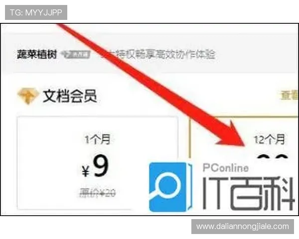快速掌握PA zhenren会员申请条件与步骤内容全解析