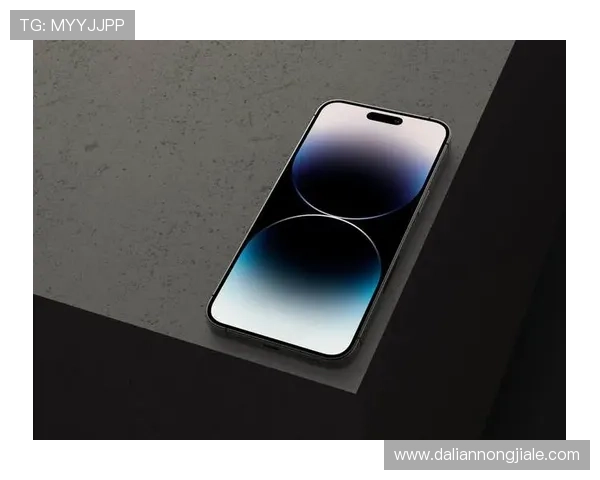 用户体验分享：为何越来越多玩家选择凯发真人手机版进行游戏