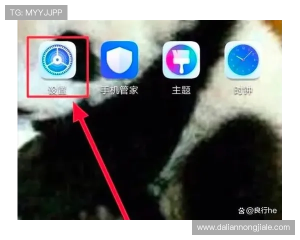 皇冠手机管理网登录网址官方入口,便捷快速登录指南推荐