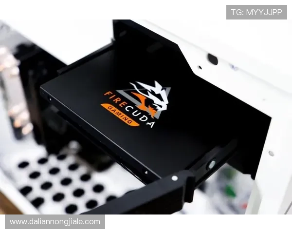 凯发下载进入：优化你的游戏体验提升登录速度与稳定性的方法