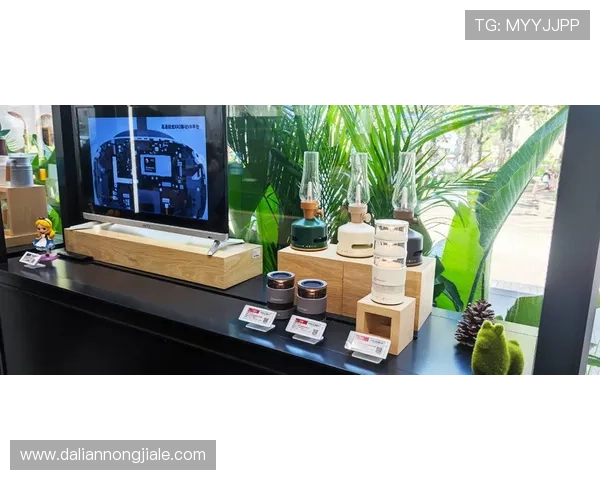 乐玩游戏官方旗舰店新品上线详细介绍助你第一时间掌握最新游戏动态