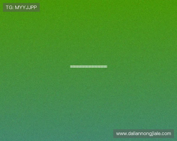 港式梭哈规则详细介绍帮助玩家理解游戏流程与投注策略