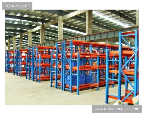 凯发旗舰厅登录免费下载官网:安全稳定的登录体验推荐指南